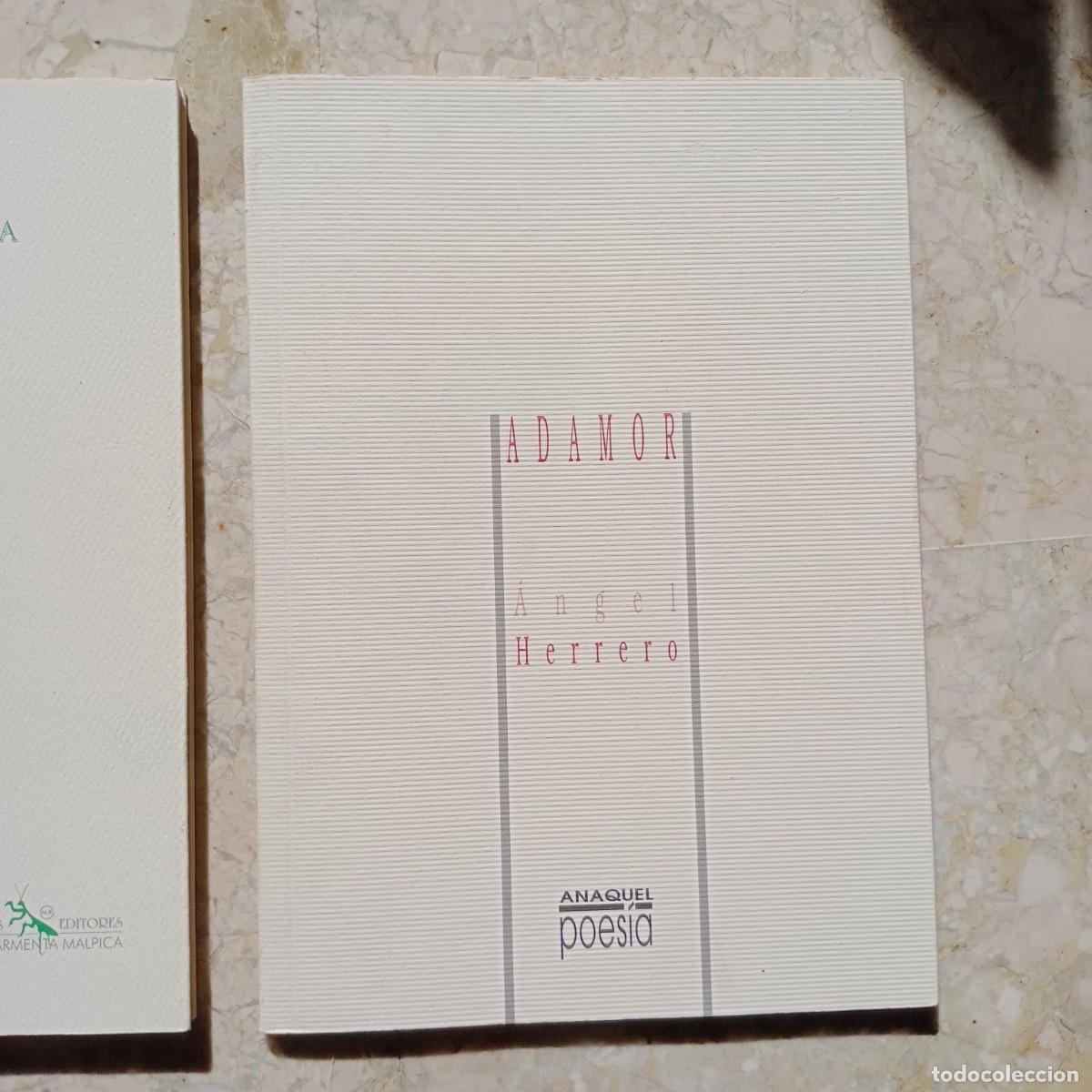 Libros: Adamor - Herrero Blanco, &Aacute;ngel Luis - Foto 1