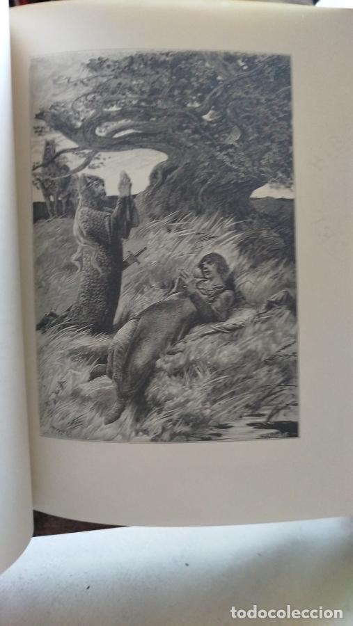 Libros: Edici&oacute;n facsimilar del manuscrito del Poema de M&iacute;o Cid - An&oacute;nimo - Foto 6