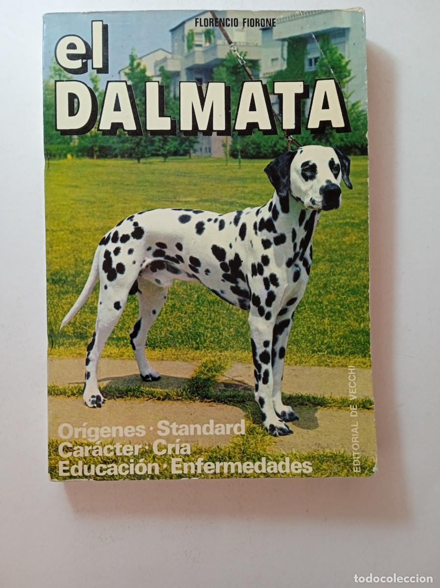 Libros: EL D&Aacute;LMATA - FLORENCIO FIORONE - EDITORIAL DE VECCHI - Foto 1