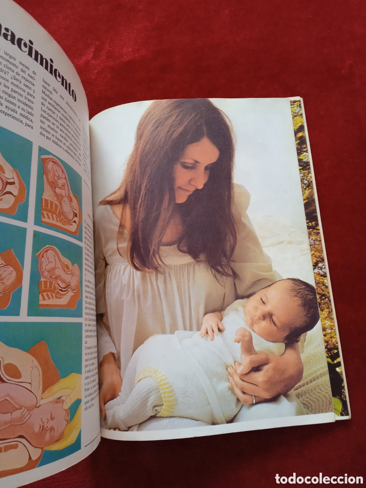 Libros: El libro de la familia.Edimor - Foto 8