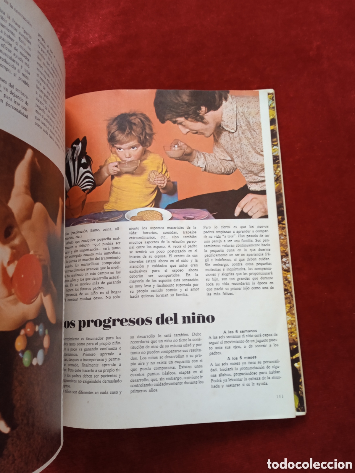 Libros: El libro de la familia.Edimor - Foto 9