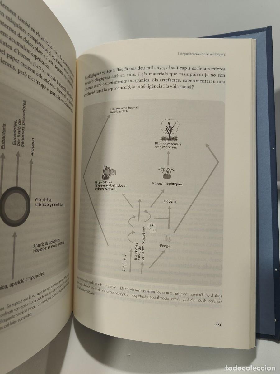 Libros: BIOGRAFIA DEL M&Oacute;N DE LORIGEN DE LA VIDA AL COL&middot;LAPSE ECOLOGIC - Jaume Terradas ~ - Foto 17