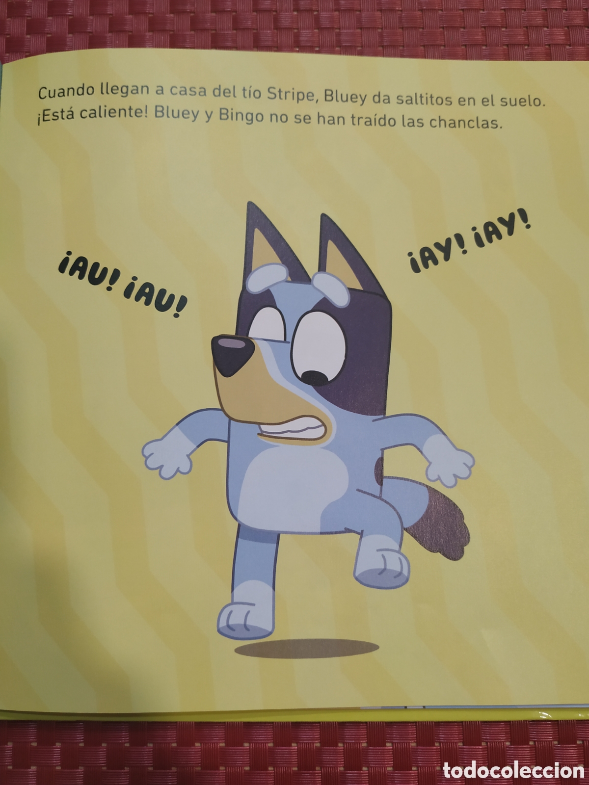 Libros: BLUEY. LA PISCINA. BEASCOA - Foto 3