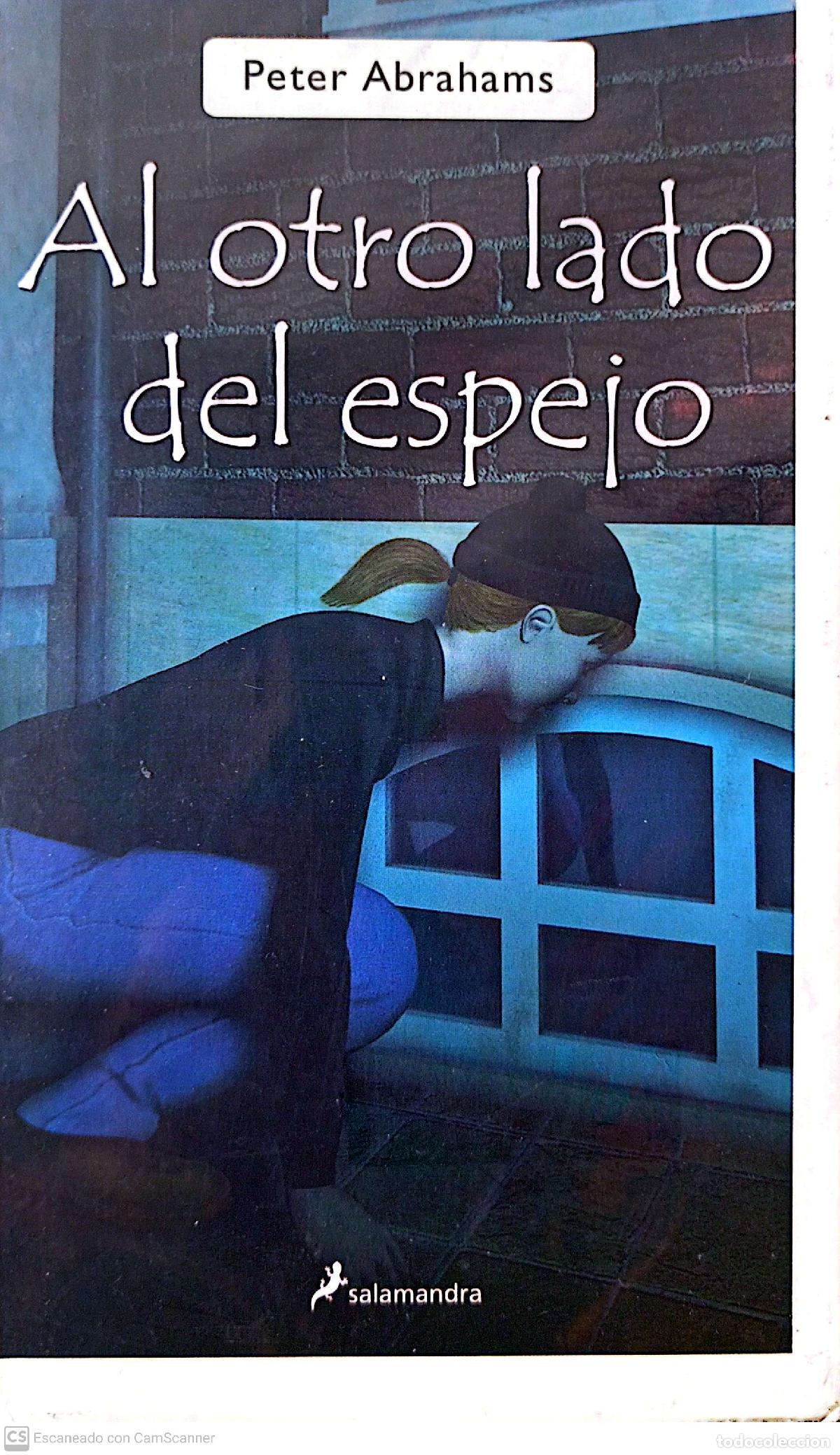 Libros: Al otro lado del espejo - Peter Abrahams - Foto 1