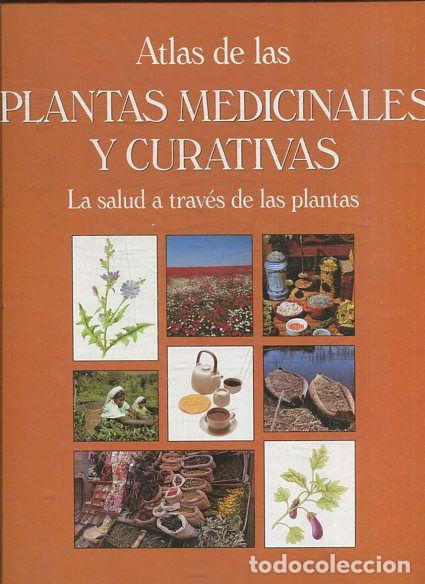 Libros: SEPTIEMBRE. - PILCHER Rosamunde. - Foto 1