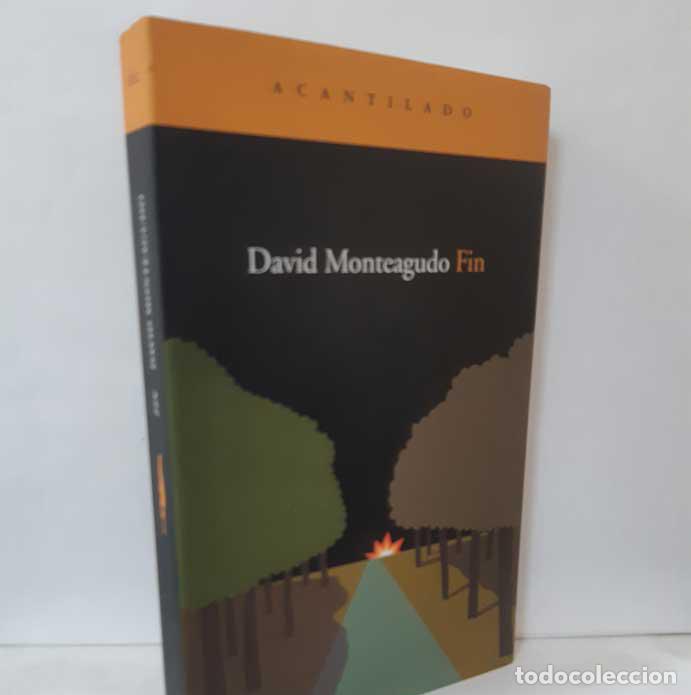 Libros: FIN - MONTEAGUDO, DAVID - Foto 1