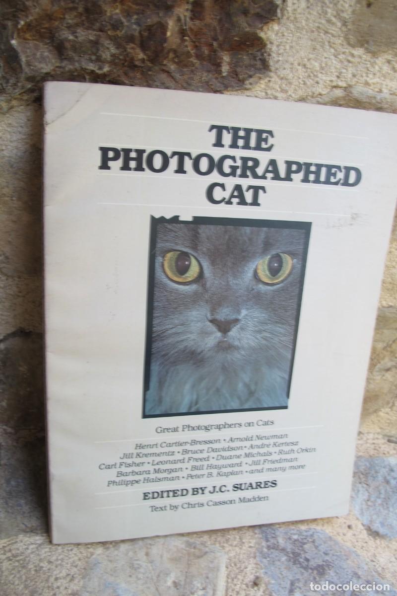 B&uuml;cher: THE PHOTOGRAPHED CAT. GREAT PHOTOGRAPHERS ON CATS. GATOS FOTOGRAFIADOS POR GRANDES FOTOGRAFOS