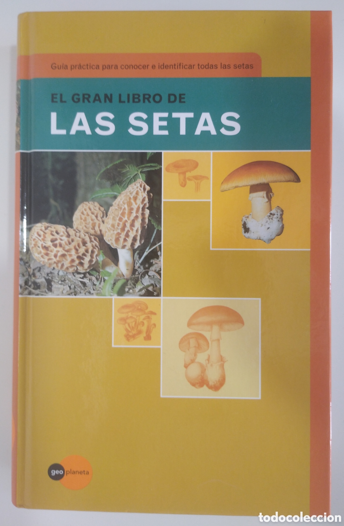 Libros: EL GRAN LIBRO DE LAS SETAS - Foto 1