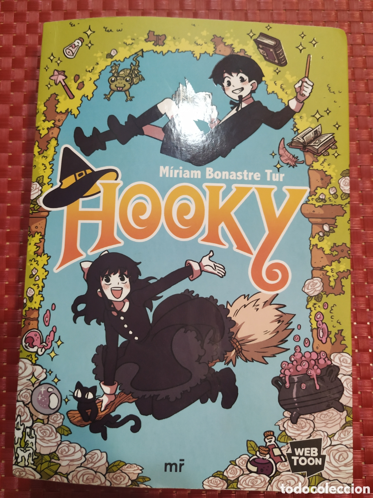 Libros: HOOKY. M&Iacute;RIAM BONASTRE TUR - Foto 1
