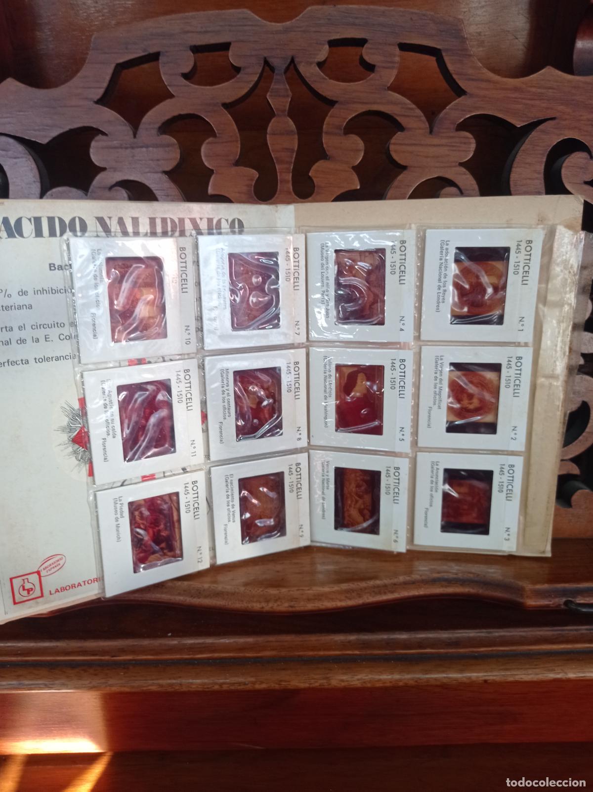Libros: BOTTICELLI 1445 - 1510. 12 TRANSPARENCIAS EN COLOR. CODEX 1969 - Foto 3