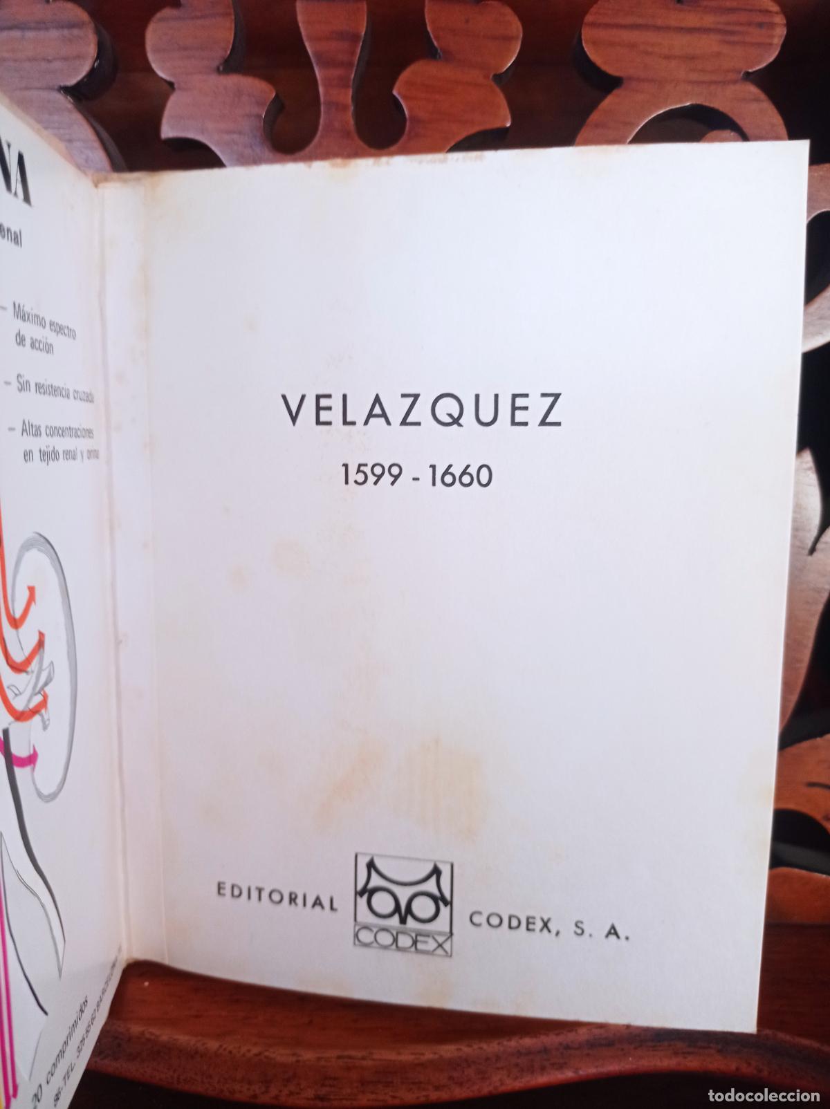 Libros: VELAZQUEZ 1599 - 1660. 12 TRANSPARENCIAS EN COLOR. CODEX 1969 - Foto 2