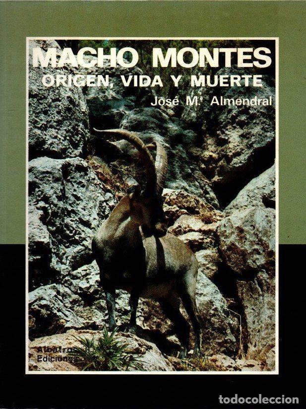 Libri di seconda mano: Macho mont&eacute;s. Origen, vida y muerte - Almedral, Jos&eacute; Mar&iacute;a