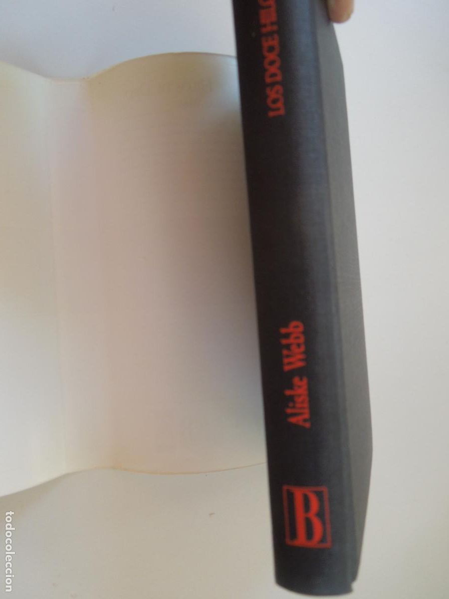 Libros: LOS DOCE HILOS DE ORO - ALISKE WEBB - EDC B 1&ordf; EDC 1996 - Foto 3
