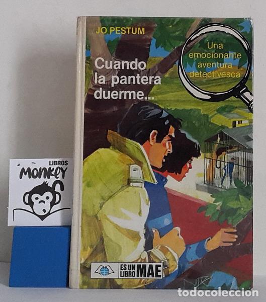 Libros: Cuando la pantera duerme... - Jo Pestum - Foto 1