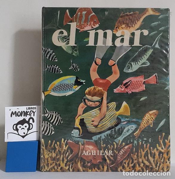 Libros: El mar. Libros para mirar - Antonio Jim&eacute;nez-Landi - Foto 1
