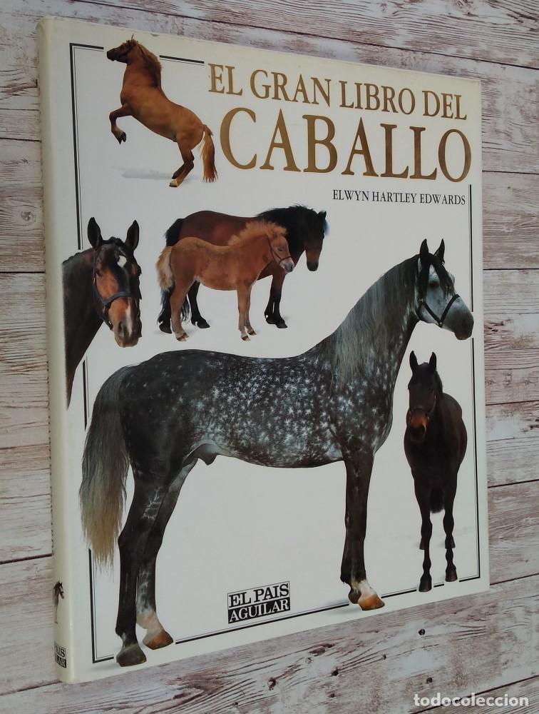 Libros: El gran libro del caballo - Elwyn Hartley Edwards - Foto 1