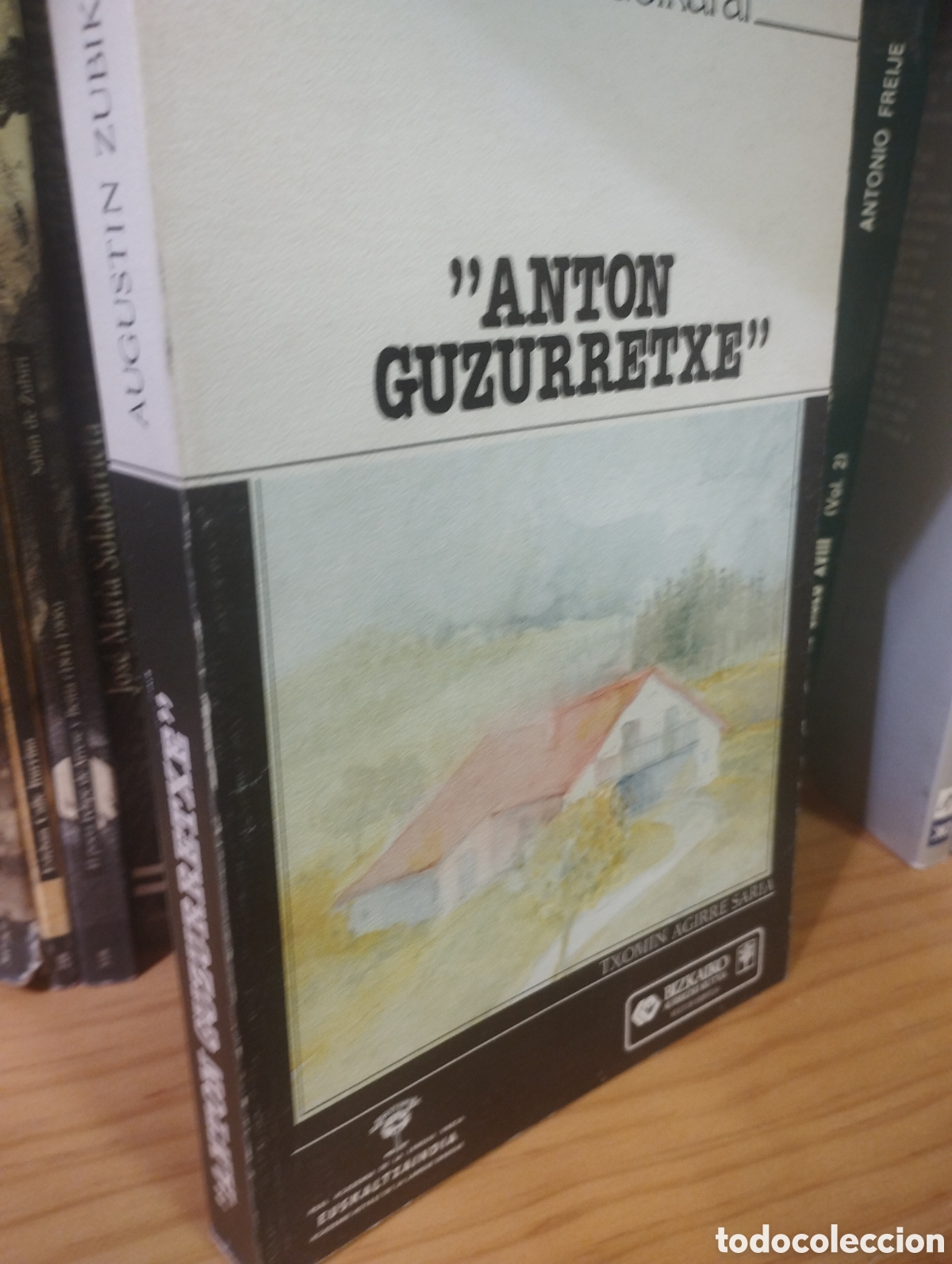 Libros: ANTON GUZURRETXE - AUGUSTIN ZUBIKARAI - Foto 1