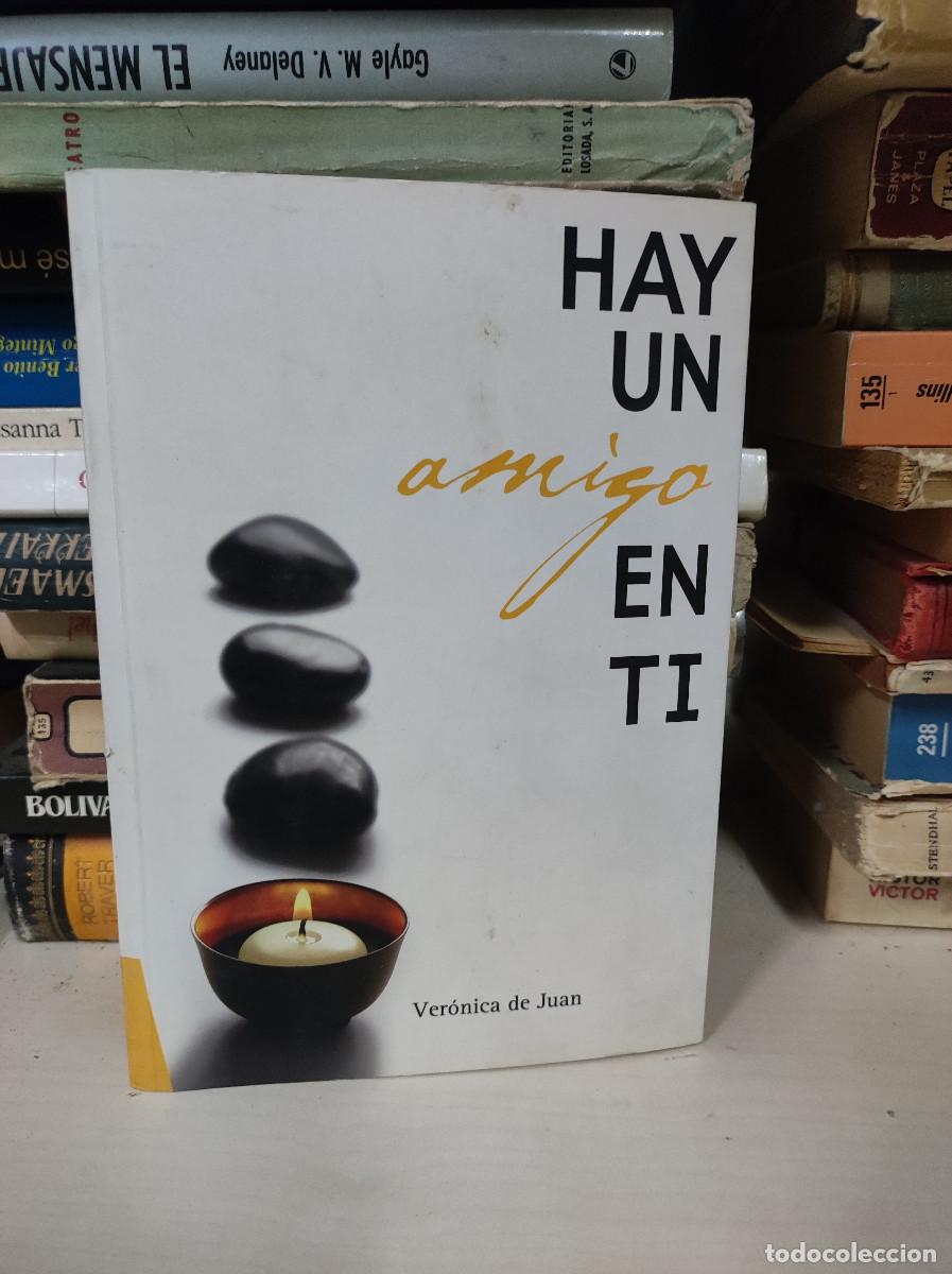 books: HAY UN AMIGO EN TI VERONICA DE JUAN