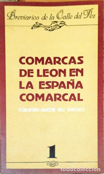 Libros: Comarcas de Le&oacute;n en la Espa&ntilde;a comarcal - D&Iacute;AZ GONZ&Aacute;LEZ, FLORENTINO AGUST&Iacute;N - Foto 1