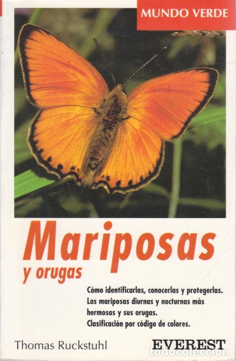 B&uuml;cher: MARIPOSAS Y ORUGAS - THOMAS RUCKSTUHL