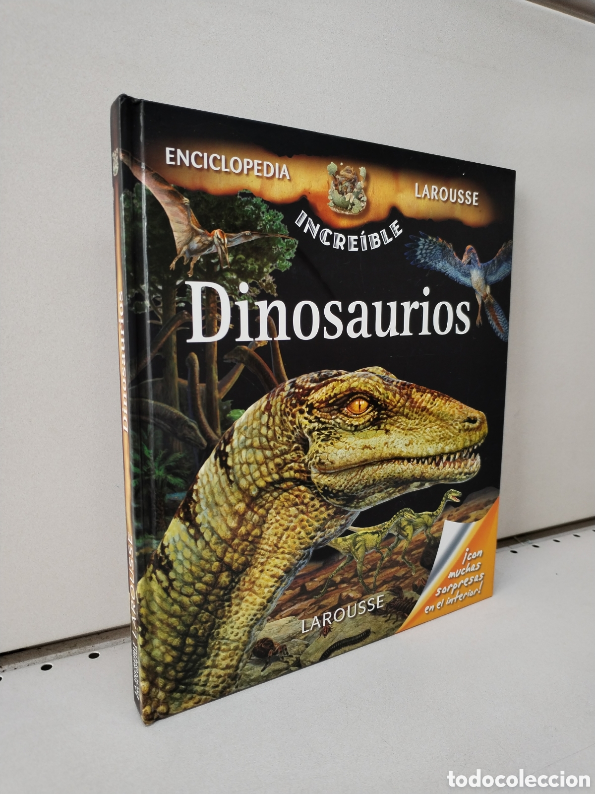 Libros: Dinosaurios - Comercial Grupo Anaya - Foto 1