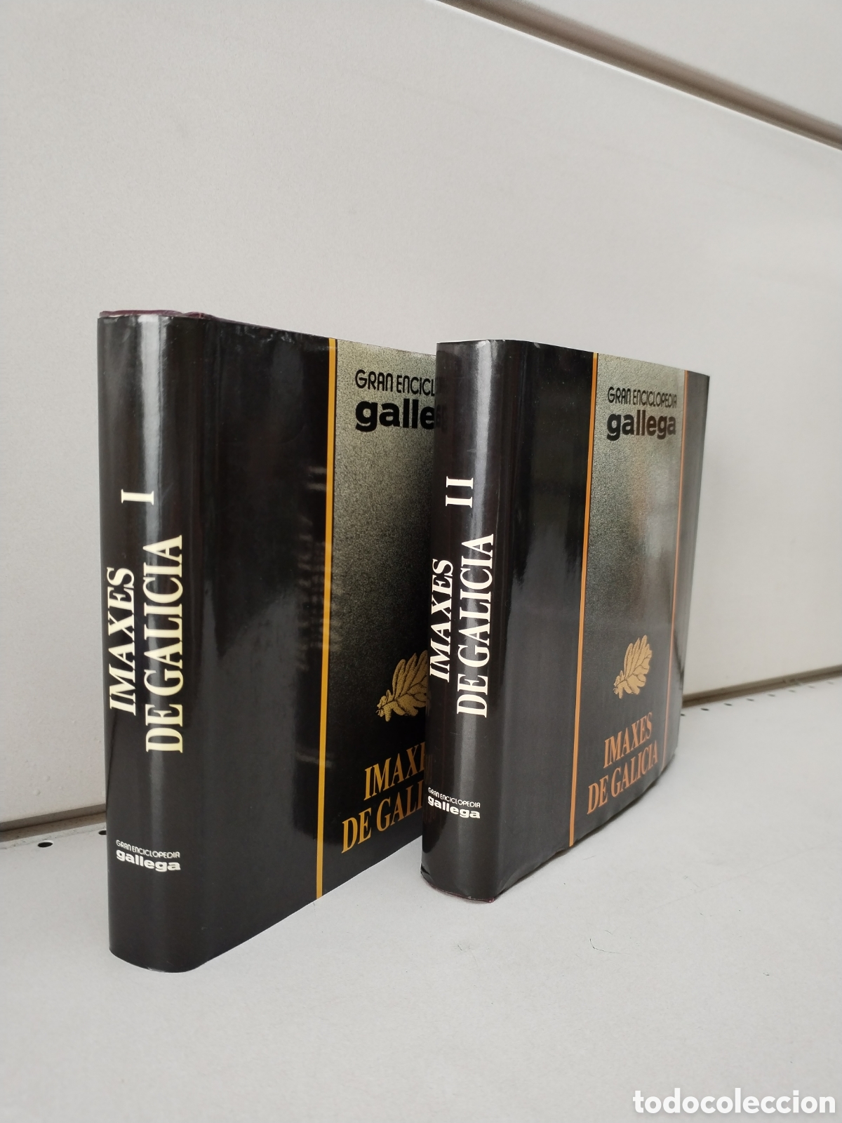 Libros: Imaxes de Galicia I y II. DOS TOMOS. - Foto 1