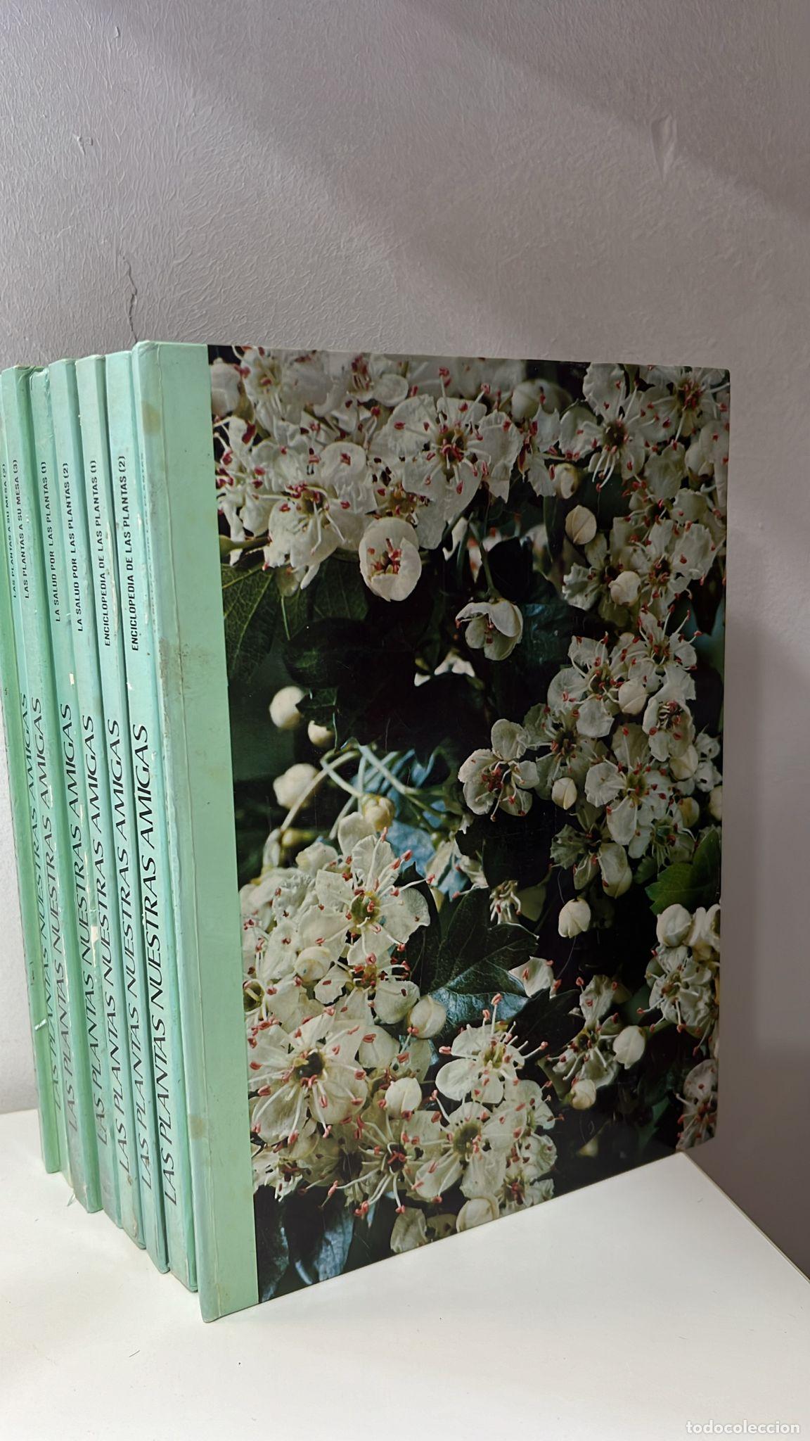 Libros: LAS PLANTAS NUESTRAS AMIGAS, 8 TOMOS - Foto 1