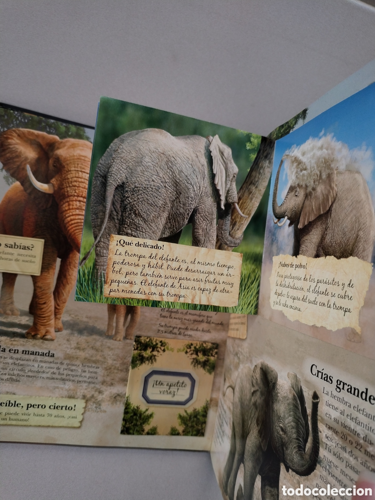 Libros: R&eacute;cords del mundo animal - Various - Foto 2