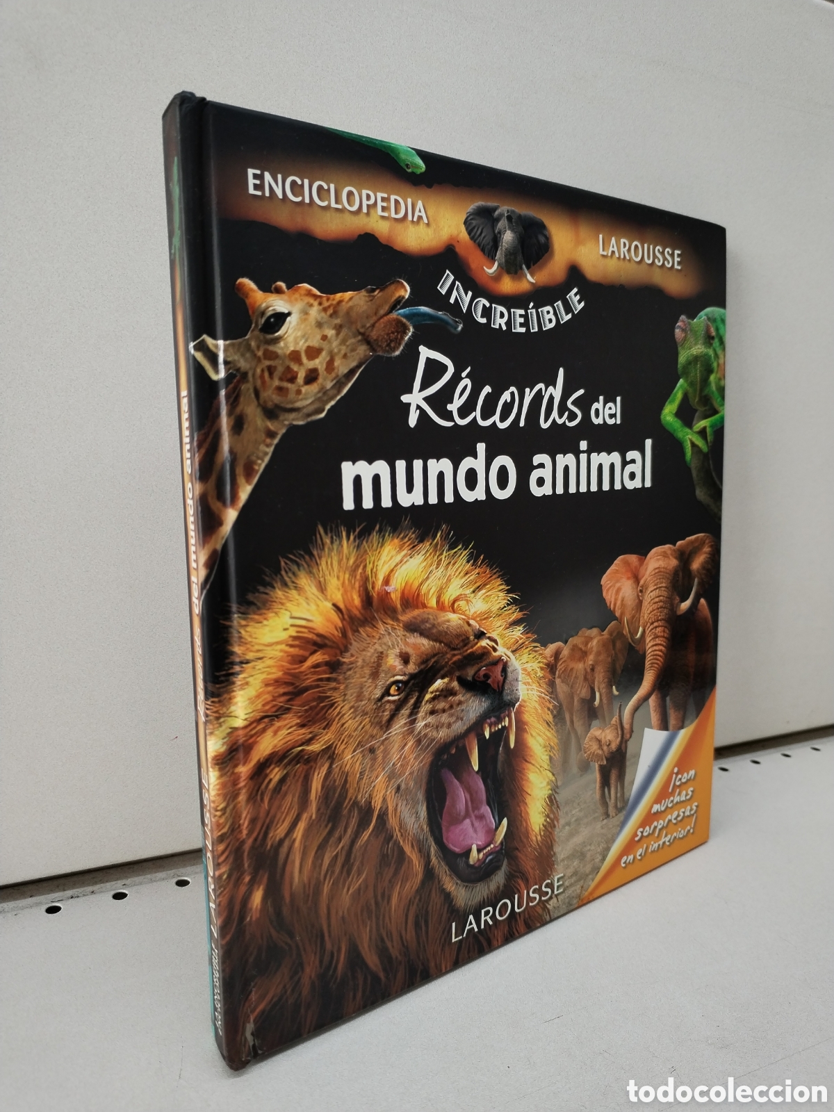 Libros: R&eacute;cords del mundo animal - Various - Foto 1