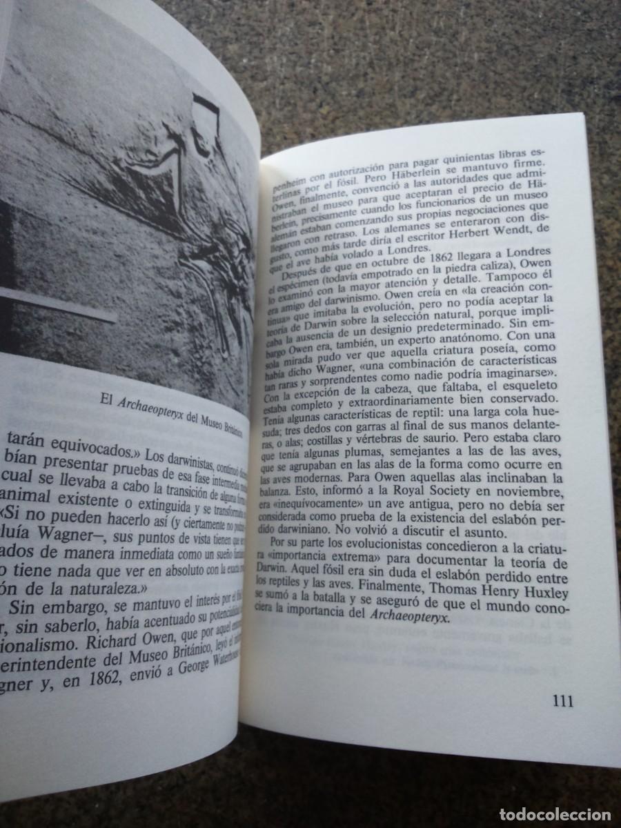 Libros: EL ENIGMA DE LOS DINOSAURIOS -- WILFORD -- RBA 1993 -- - Foto 2