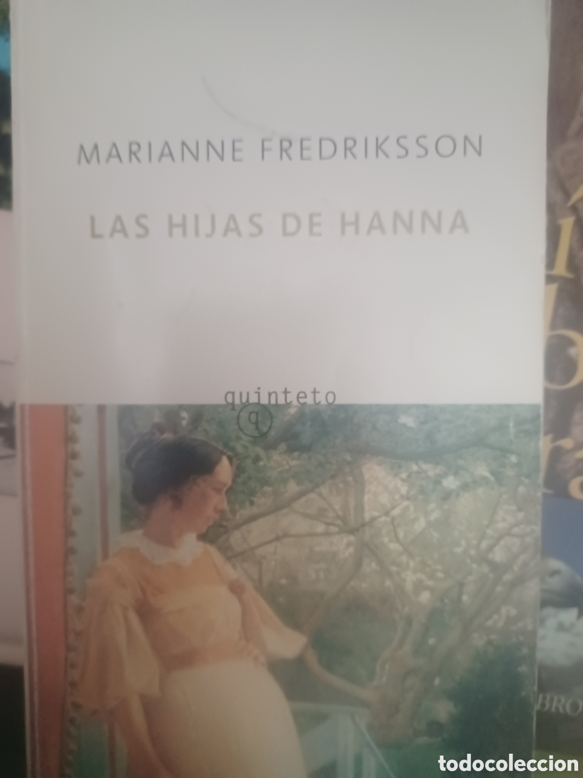 Libros: Barybook C47. Las hijas de Hanna Marianne fredriksson quinteto