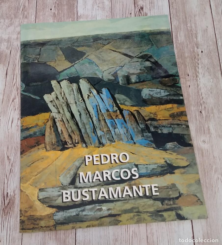 Livres: Pedro Marcos Bustamante. Cat&aacute;logo Galer&iacute;a de Arte Barrons, 1996