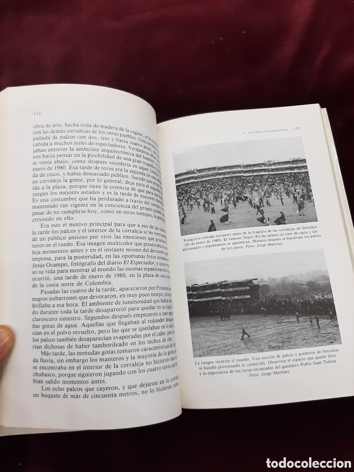 Libros: Tierra de Toros. Colecci&oacute;n LA TAUROMAQUIA. - Foto 6