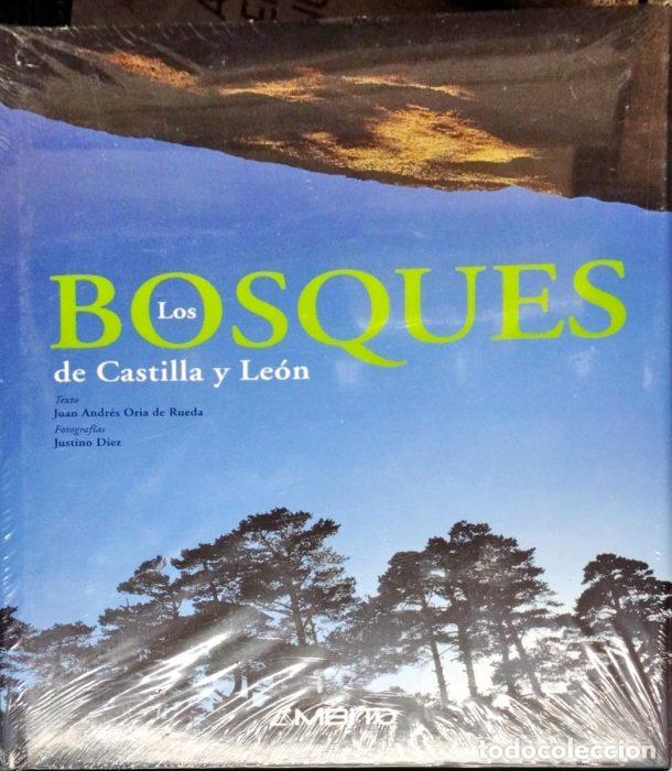 Libros: Los bosques de Castilla y Le&oacute;n - ORIA DE RUEDA, JUAN ANDR&Eacute;S - Foto 1