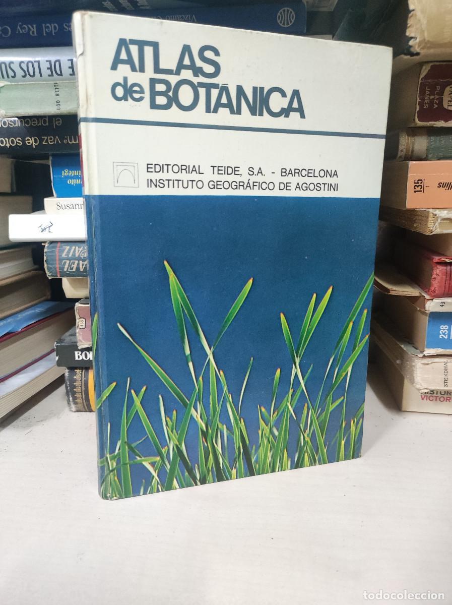 Libros: ATLAS DE BOT&Aacute;NICA. EDITORIAL TEIDE - Foto 1