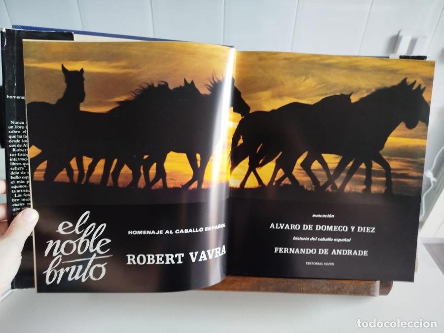 Libros: El noble bruto - Vavra, Robert - Foto 2