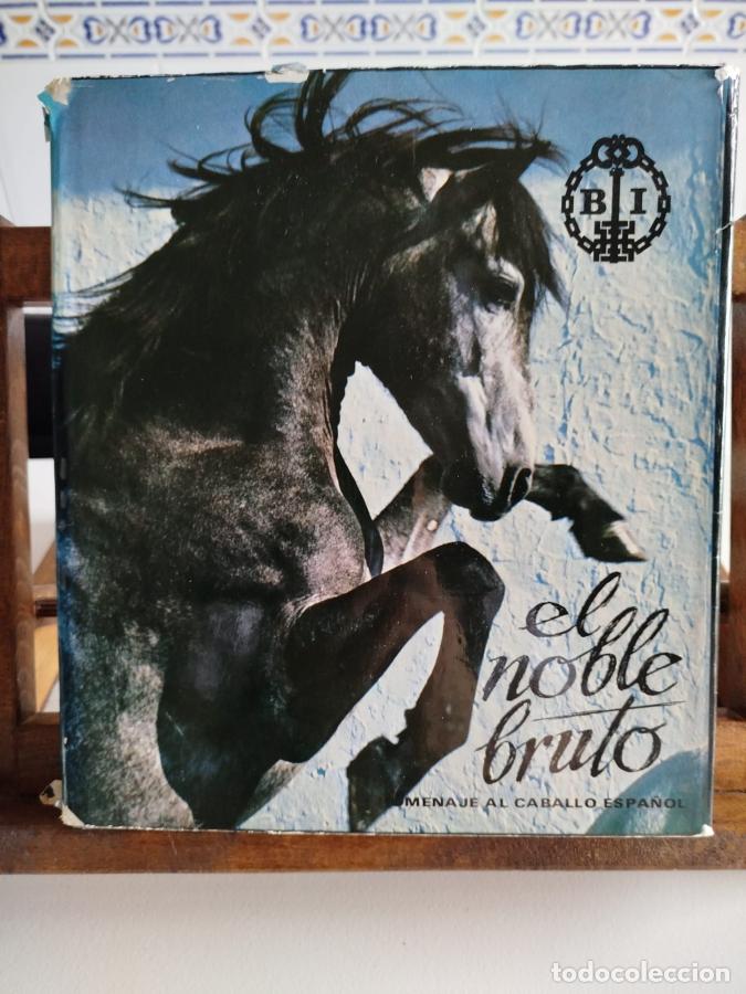 Libros: El noble bruto - Vavra, Robert - Foto 1