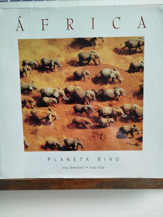 B&uuml;cher: &Aacute;frica: planeta vivo - Bartolom&eacute;, Jorge; Vega, Isaac