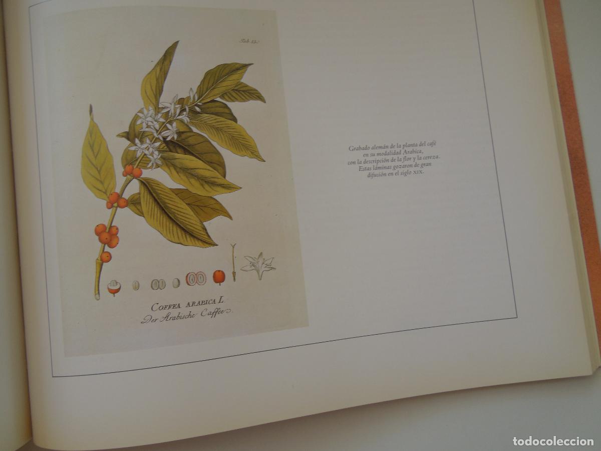 Libros: EL LIBRO DEL CAFE - NESTOR LUJAN - ED. NESTL&Eacute;, 1984 - Foto 4