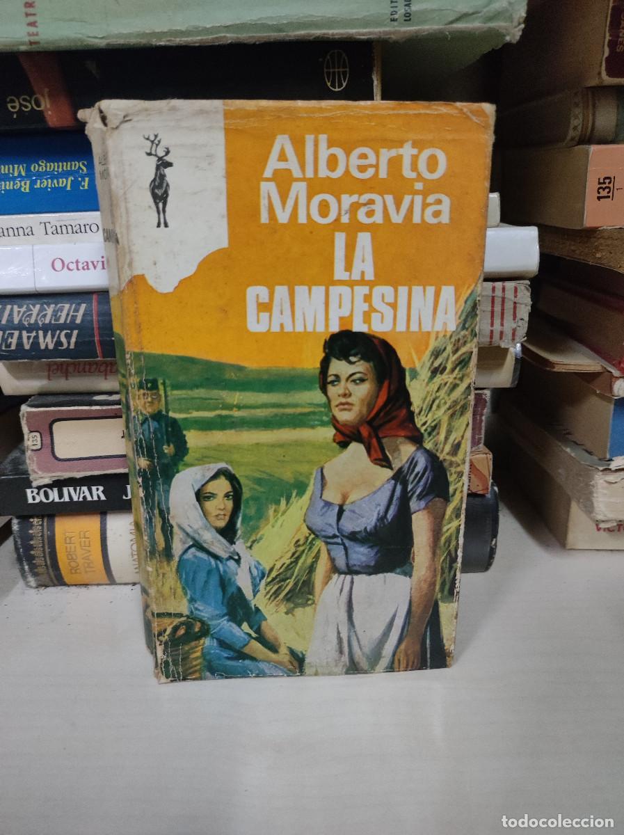 Libros: LA CAMPESINA ALBERTO MORAVIA - Foto 1