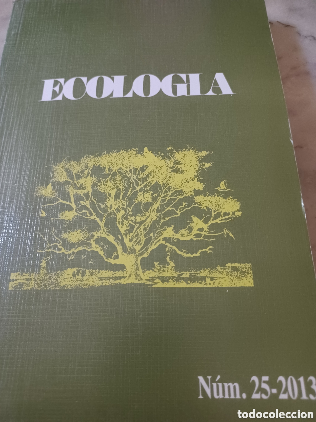books: Barybook .C31. . Ecolog&iacute;a n&uacute;mero 25 a&ntilde;o 2013 parques nacionales