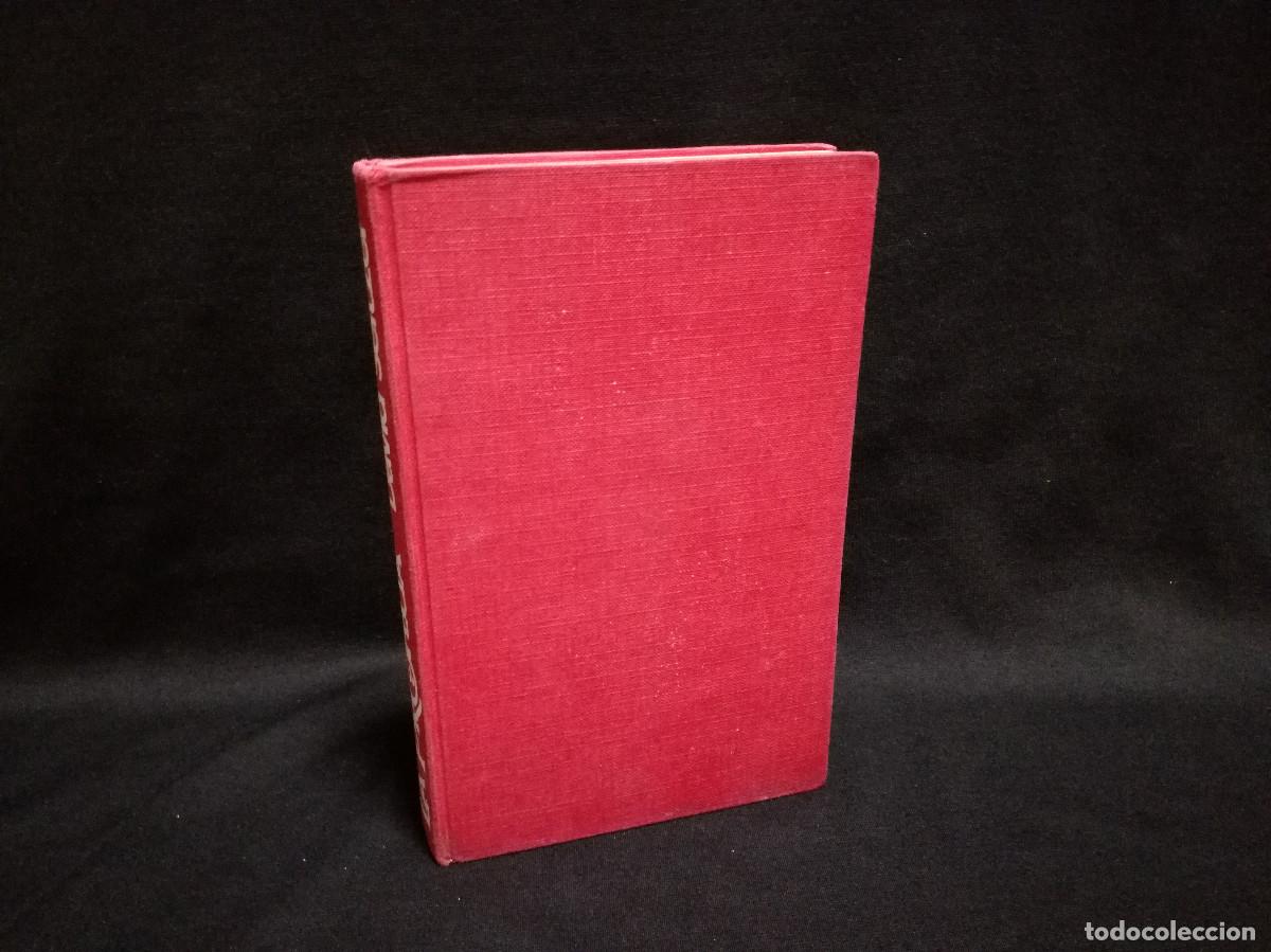 Libros: LIBRO - LA PROFECIA - DAVID SEITZER - PRIMERA EDICI&Oacute;N ABRIL 1977 - Foto 2