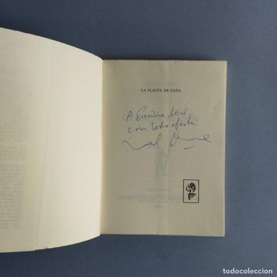 Libros: La Flauta de Ca&ntilde;a. - Alvarez Morales, Miguel - Foto 1