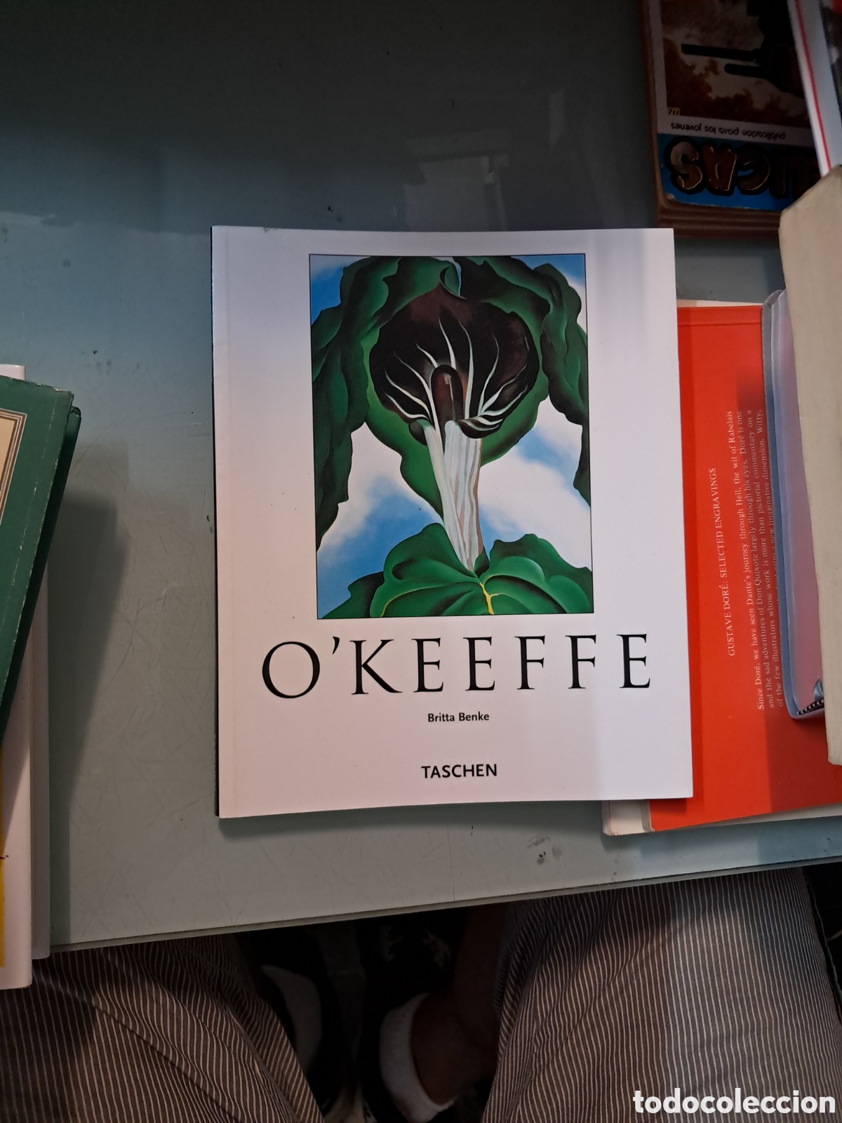 Libros: Okeeffe Britta Benke, Taschen - Foto 1