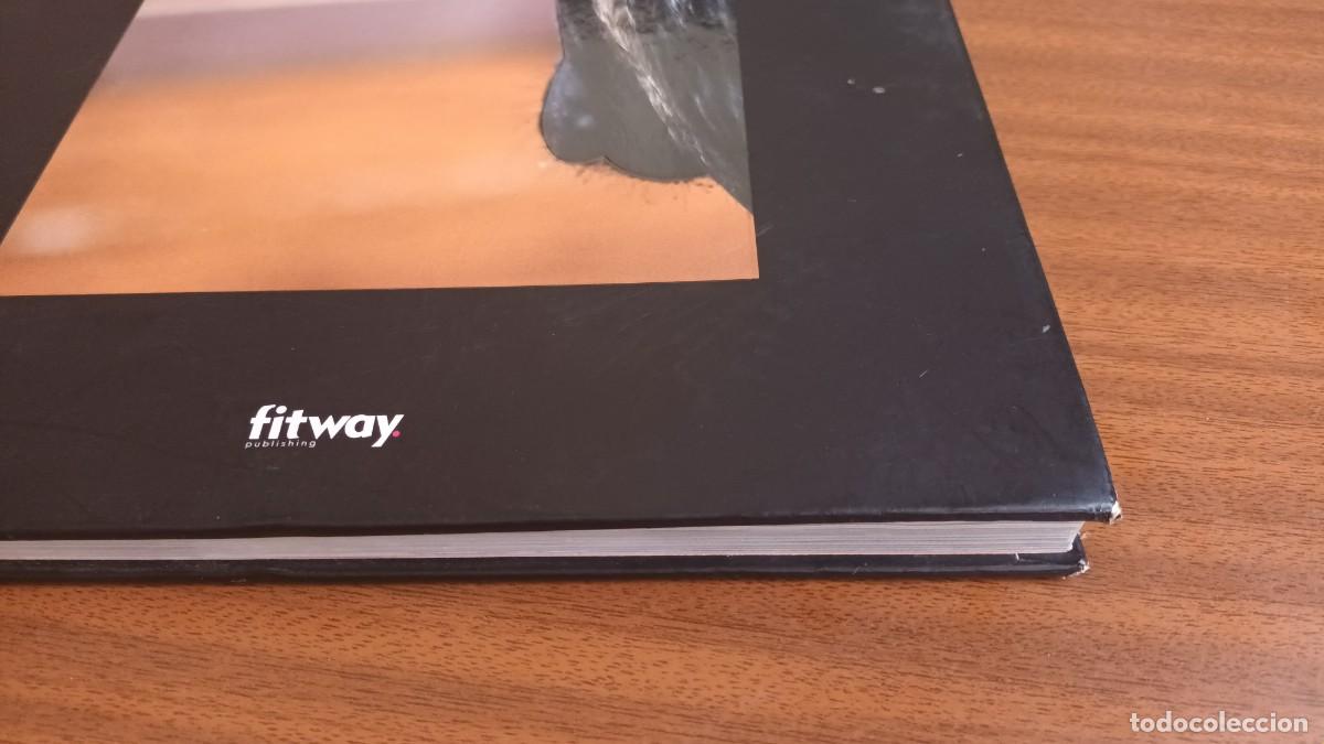 Libros: Toros --- Jacques Maigne - Foto 4