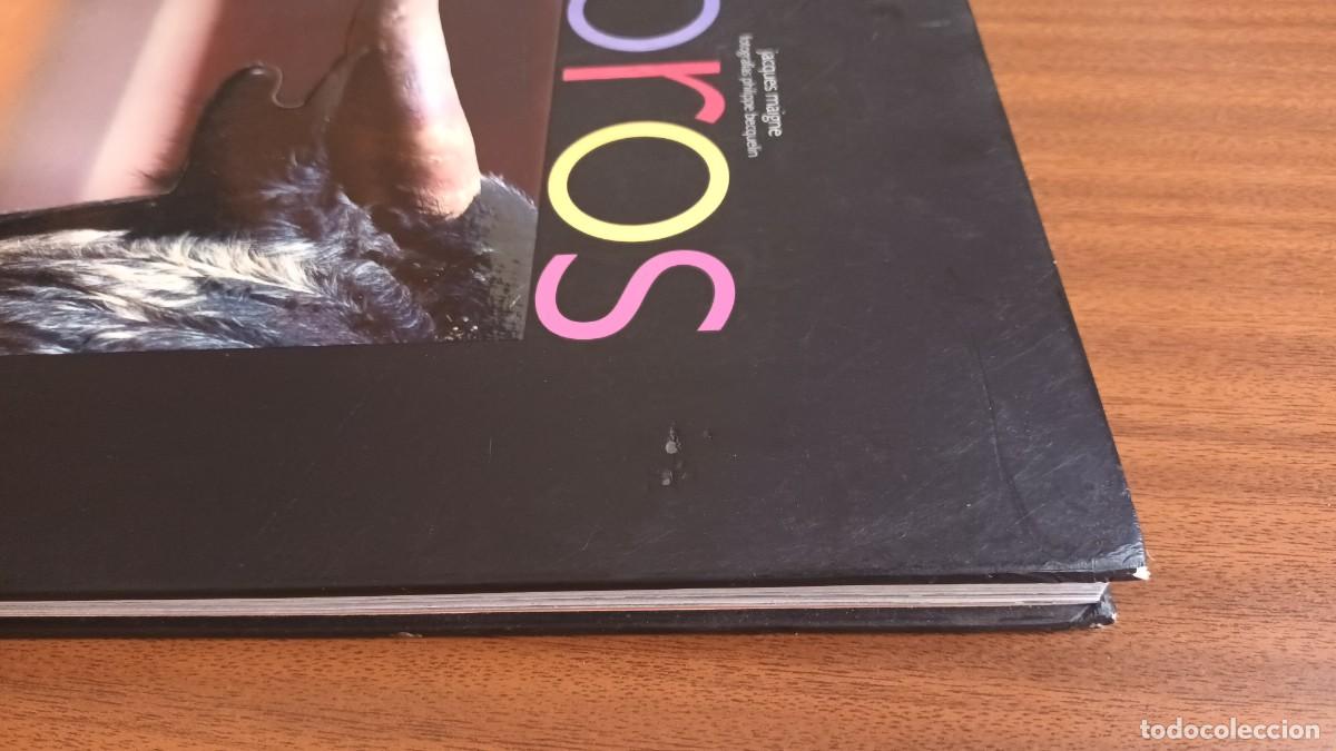 Libros: Toros --- Jacques Maigne - Foto 6