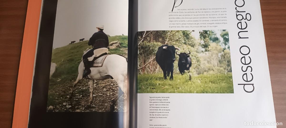 Libros: Toros --- Jacques Maigne - Foto 13