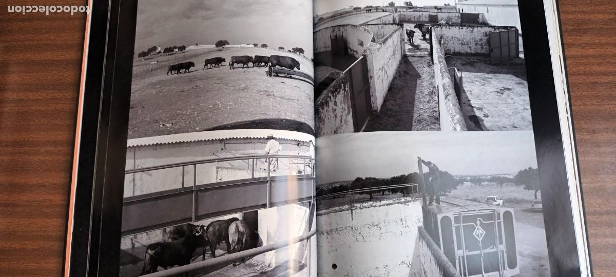 Libros: Toros --- Jacques Maigne - Foto 14