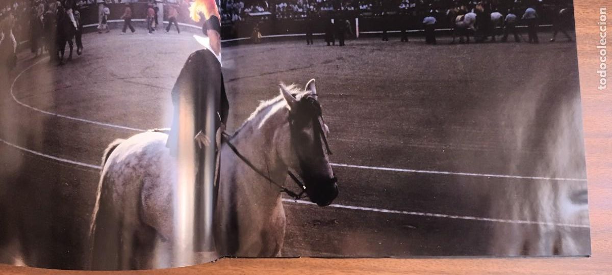 Libros: Toros --- Jacques Maigne - Foto 17