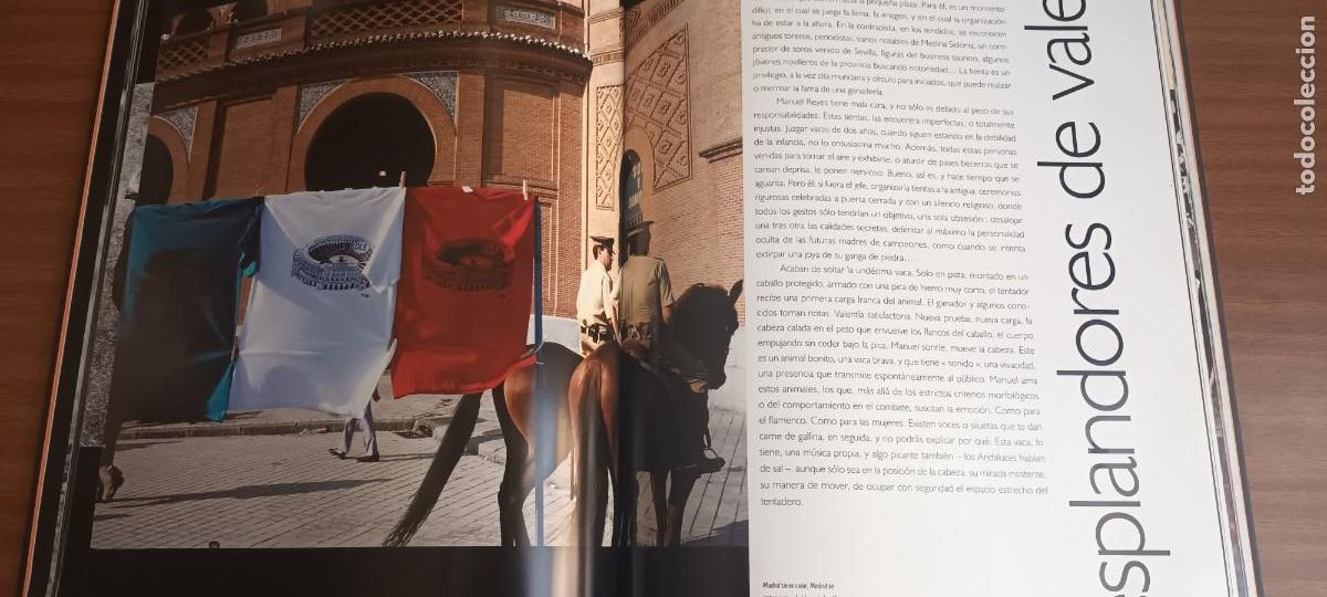 Libros: Toros --- Jacques Maigne - Foto 18